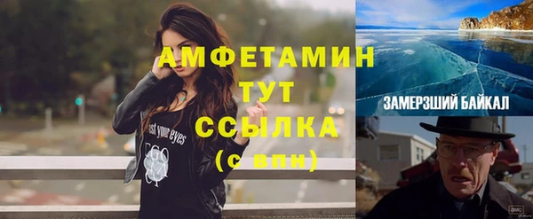 индика Богородск