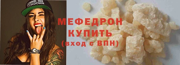 индика Богородск