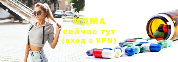 индика Богородск