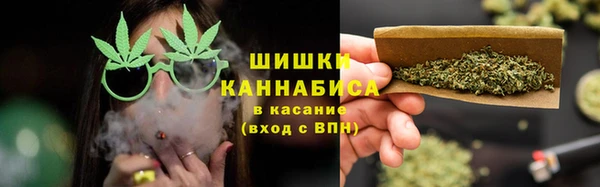 индика Богородск