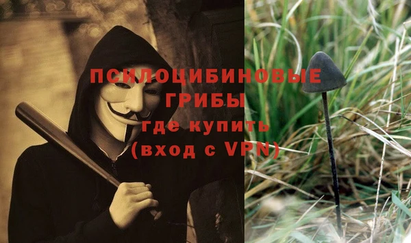 индика Богородск