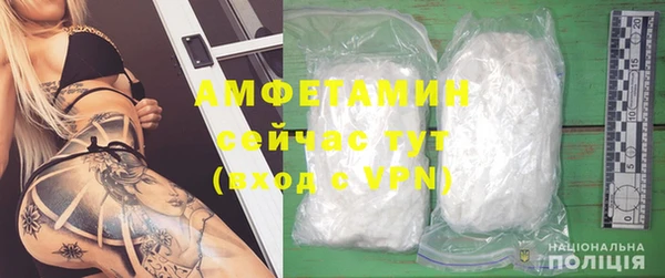 индика Богородск