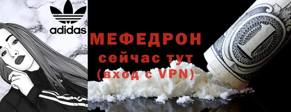 индика Богородск